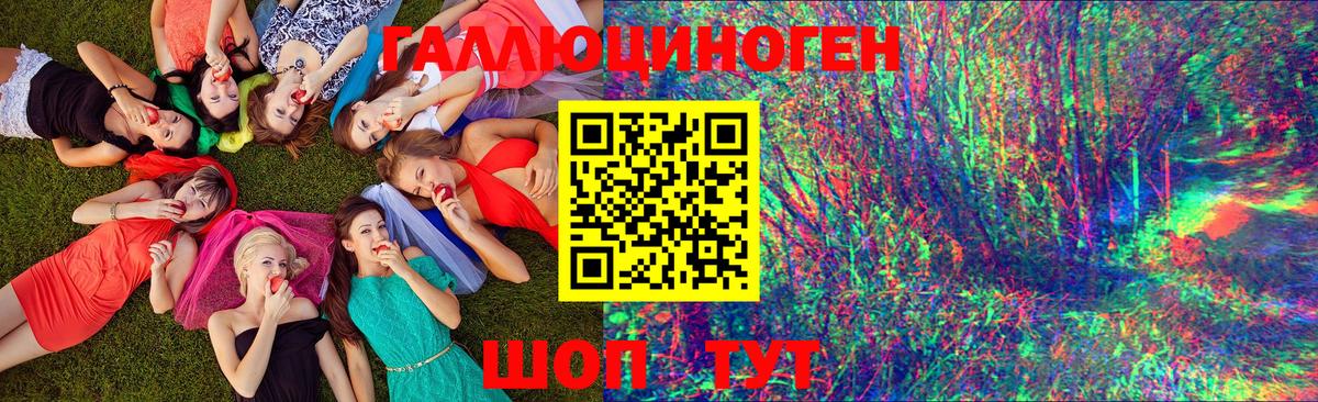 Галлюциногенные грибы Magic Shrooms  Вход с VPN  Удомля  что такое наркотик  Галлюциногенные грибы Psilocybine cubensis 